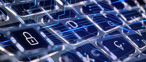 赴日留學信息技術領域擇專業三原則 結合前沿、契合自身、著眼未來